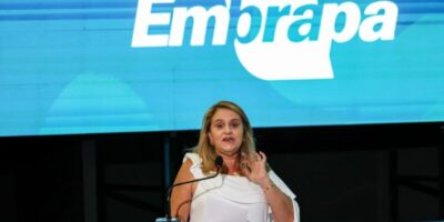 Jornada pelo Clima: Embrapa discute propostas para COP 30