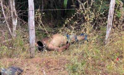 Corpo com perfurações de bala é encontrado por populares em Santa Helena