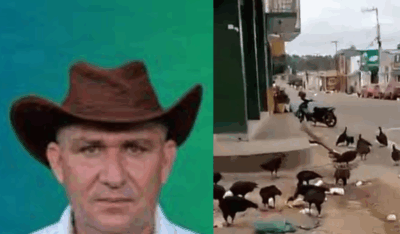 Caos! Sem coleta regular de lixo, urubus dominam paisagem urbana em Amarante do Maranhão