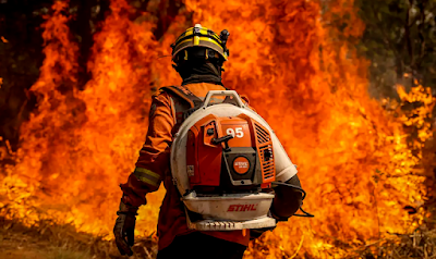 Amazônia Registra O Maior Número De Focos De Incêndio Do Século Sob Gestão De Marina Silva