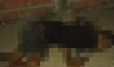 URGENTE! MAIS UM HOMICÍDIO É REGISTRADO EM URBANO SANTOS