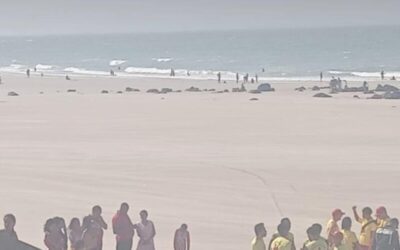 Casal morre afogado na Praia de São Marcos em São Luís; filho sobrevive