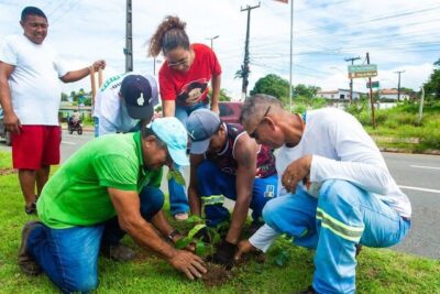 Prefeitura de São José de Ribamar realiza plantio de árvores no bairro do Araçagy área nobre da cidade balneária