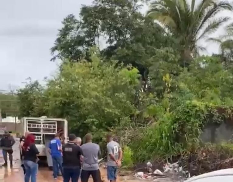 Foto: Reprodução