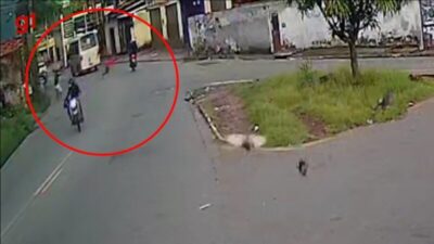 VÍDEO: Jovem é morto com vários tiros na cabeça na região do Anil, em São Luís; suspeito é preso