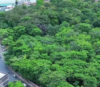 Serviço de drenagem altera trânsito na Av. João Pessoa, no Anil, em São Luís