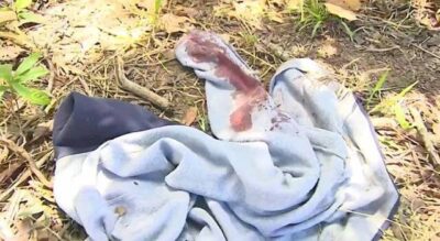 Governo Lula lamenta massacre em assentamento do MST e aciona PF para investigar ataque