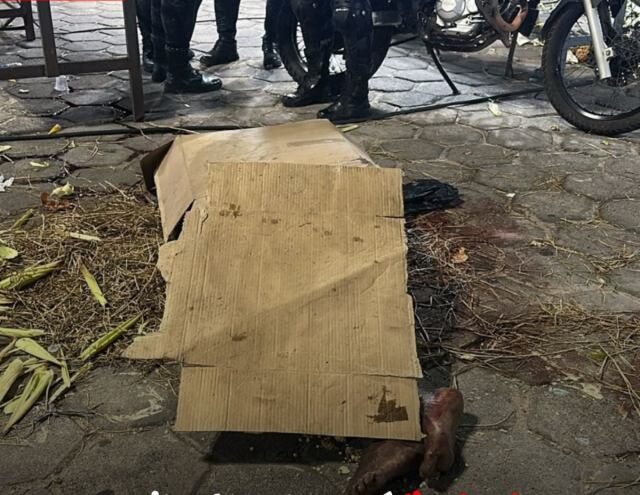 Foto: Reprodução