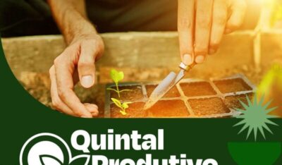 Quintal Produtivo: Matões lança programa que une desenvolvimento rural e dignidade para as famílias