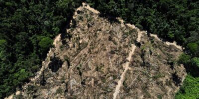 Irlanda vai doar R$91 milhões ao Fundo Amazônia em três anos