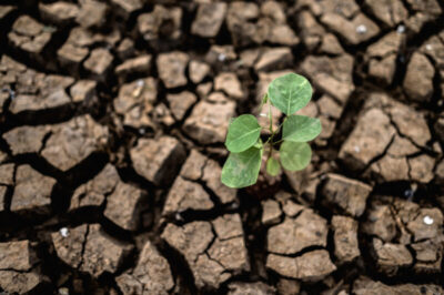 Pesquisa revela impactos da mudança climática no Maranhão e previsão para os próximos anos