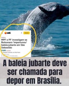 Sobre perseguição ou ataque da baleia…