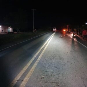Idoso morre após ser atropelado por carro na BR-135