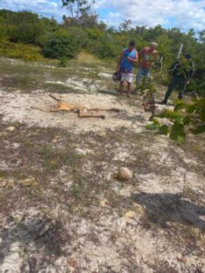 Ossada é encontrada na Vila Coronel Riod, na região da Cidade Olímpica