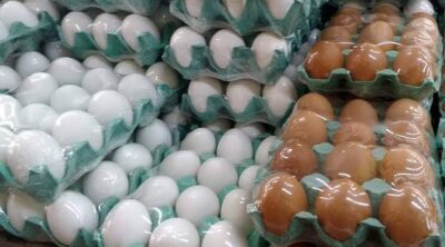 Preço dos ovos e de outros alimentos pode cair nos próximos dias