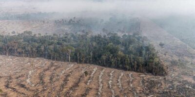 Advocacia-Geral da União cobra R$ 76 milhões de desmatadores