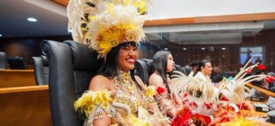 Assembleia homenageia grupos tradicionais do Bumba Meu Boi em sessão solene