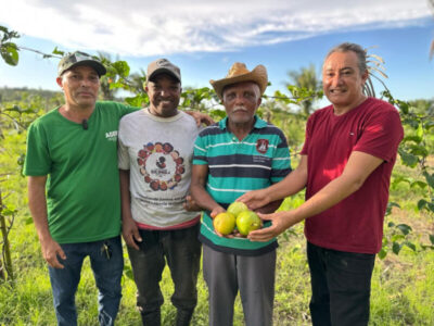 Agerp e Prefeitura investem em inovação na agricultura familiar de Bequimão