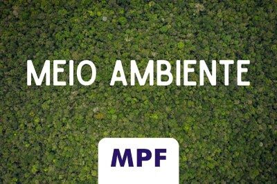 BOM JARDIM: A pedido do MPF, Justiça condena proprietário de fazenda a recuperar área de floresta desmatada ilegalmente no MA