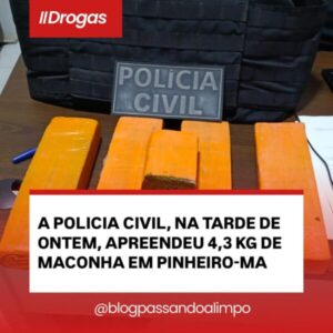 A POLICIA CIVIL, NA TARDE DE ONTEM, APREENDEU 4,3 KG DE MACONHA EM PINHEIRO-MA