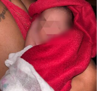 Recém-nascido é encontrado abandonado em caixa de papelão na Grande São Luís