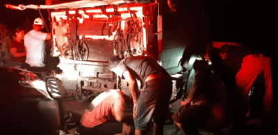 Carreta colide com búfalos na BR-135, no Campo de Peris