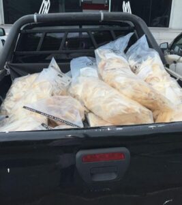 Mais de 70 kg de cartilagens de barbatanas de tubarão é apreendida pela Polícia Civil, em São Luís