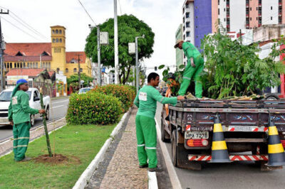 São Luís é a capital brasileira com menos ruas arborizadas, aponta Censo 2022