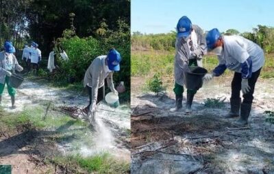 Secretaria de Agricultura de Alcântara aplica calcário em solo do povoado São Maurício