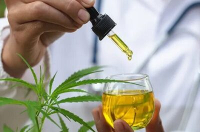Justiça decide que plano de saúde não é obrigado a fornecer óleo de cannabis para uso domiciliar