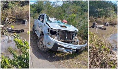 Dois turistas franceses e um brasileiro morrem após caminhonete capotar e cair em um trecho alagado da BR-402
