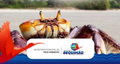 Prefeitura de Bequimão reforça campanha pelo período de defeso do caranguejo