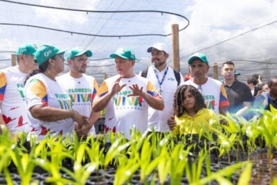 Maranhão registra queda no desmatamento dos biomas Cerrado e Amazônia no primeiro bimestre de 2025