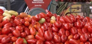 Disparada no preço do tomate pressiona inflação