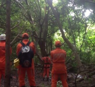 Maranhense permanece há mais de 36 horas no topo de árvore em Salvador, resistindo a resgate