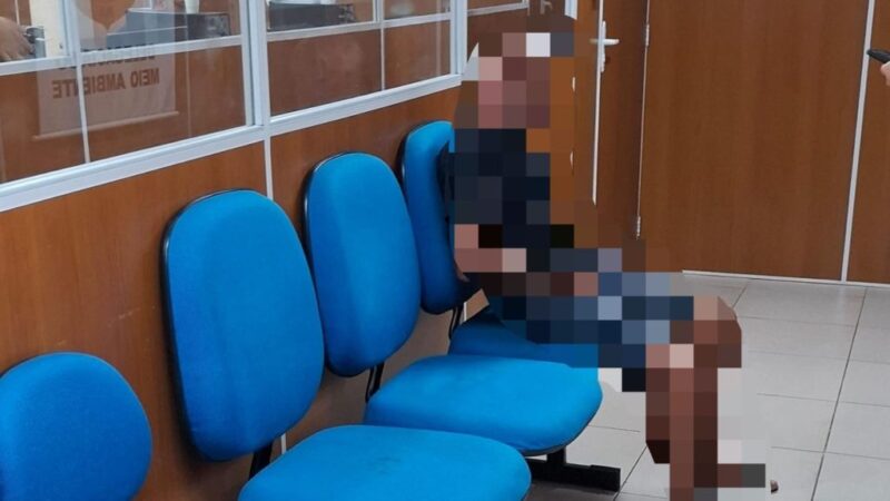 Foto: Reprodução