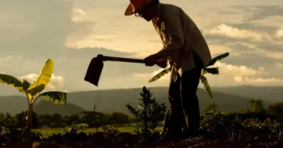 Justiça manda apurar fraude em aposentadorias rurais no MA