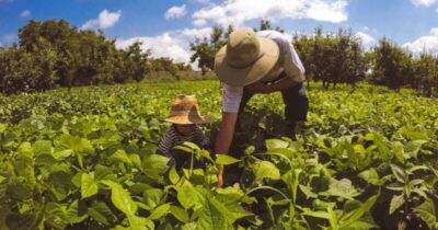 Maranhão garante R$ 1,04 bilhão para agricultura familiar