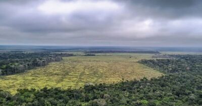 Desmatamento na Amazônia aumenta 27% no 1º semestre