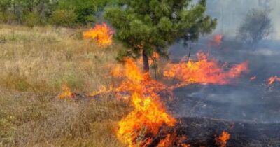 Governo do MA proíbe uso de fogo em áreas rurais até novembro