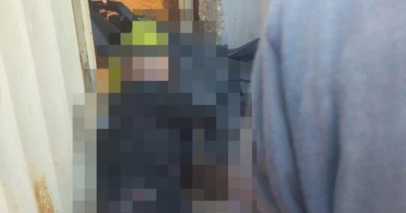 Foto: Reprodução