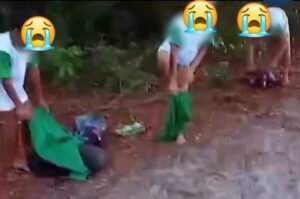 Flagante em Barreirinhas: crianças vão para escola nadando…