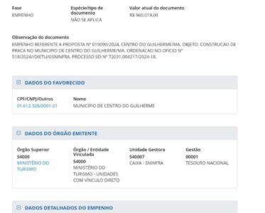 A Importância da Prestação de Contas na Execução de Projetos Públicos”*