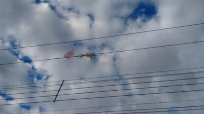 Julho registra recorde de ocorrências de pipas na rede elétrica no Maranhão