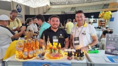 Maranhão conquista reconhecimento nacional com o melhor mel de abelhas sem ferrão do Brasil
