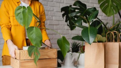 88% dos consumidores optam por marcas com práticas sustentáveis, afirma pesquisa