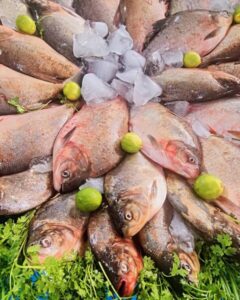 Prefeitura de Lima Campos distribui oito toneladas de peixe na Semana Santa com presença do prefeito Jailson Fausto