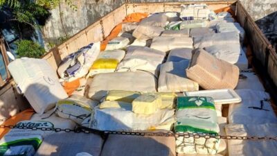 PRF apreende 6 toneladas de queijo transportadas de forma irregular na BR-226