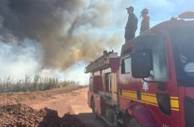 Bombeiros evitam tragédia ao conter incêndio em canavial no interior do Maranhão