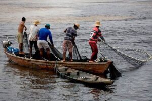 Fraude Bilionária: INSS Paga Seguro-Defeso a Milhares de Pescadores Fantasma no Maranhão